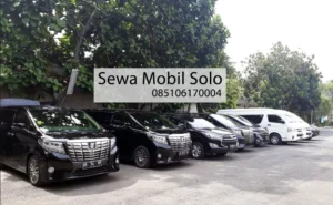 Rental Car Rental Solo
