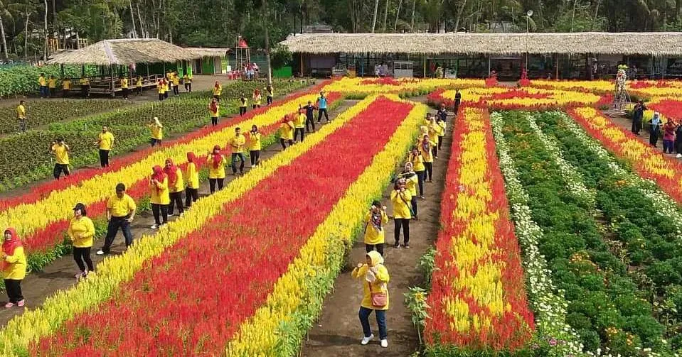 Wisata Keluarga di Taman Bunga Tali Asmoro Cilacap